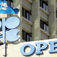 İran XİN: BƏƏ regiondakı ölkələrdən qisas almaq üçün OPEC-dən çıxdı