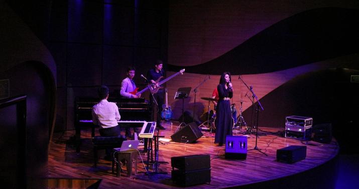 Cazmen Elçin Şirinovun konserti oldu -