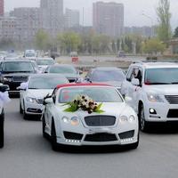 Toy karvanlarında hərəkət edən sürücülərə müraciət edildi