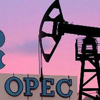 OPEC+ ölkələri fevralda hasilatı gündəlik 530 min barel azaldıb