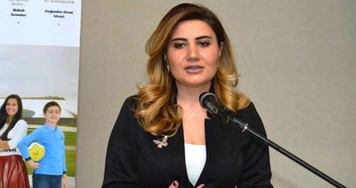 Onun Nizamini fars şairi çıxarması təəccüblü deyil –