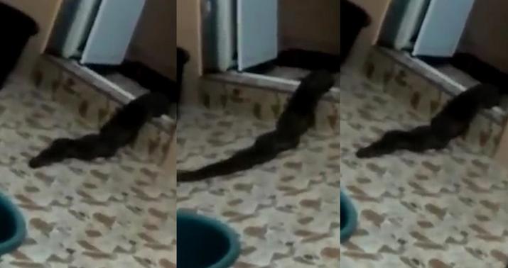 Ağdaşda hamamda qızdırıcı partlayıb, yaşlı kişi ölüb