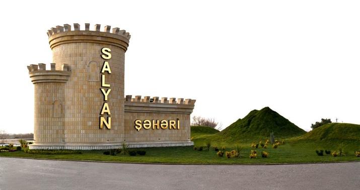 Salyanda “Toyota”dan narkotik aşkarlandı