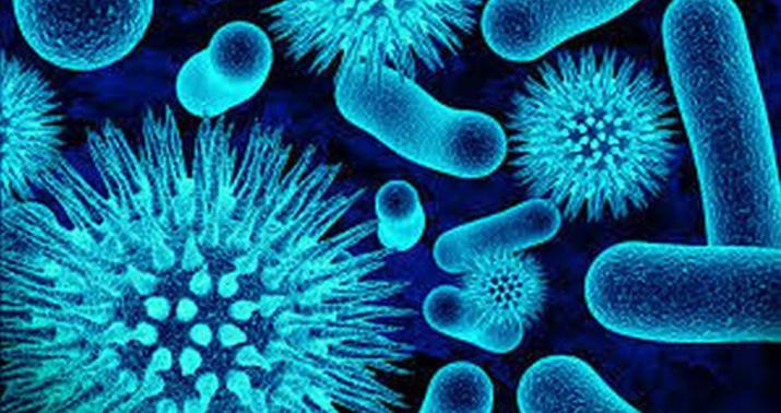 Bu il viruslu hepatitə yoluxanların sayı açıqlandı -