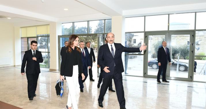 Birinci vitse-prezident iki açılışda -