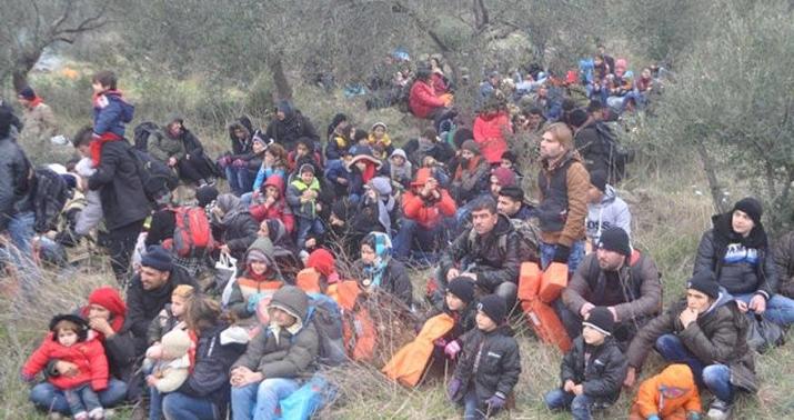 ABŞ hökuməti qanunsuz immiqrantları saxlamaq yeni sığınacaqlar tikir