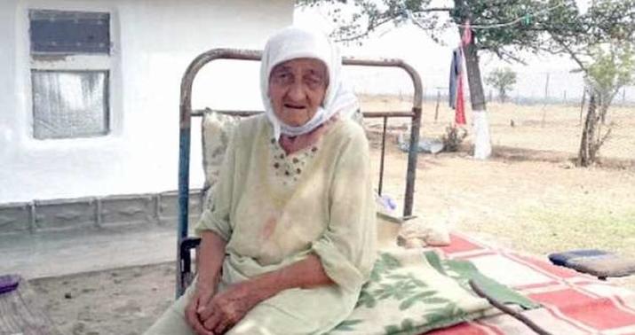 Nikolayı taxtda görən qadın -