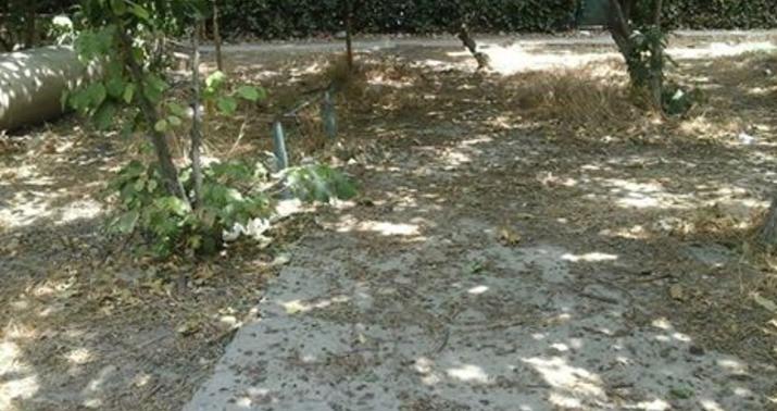 Bu ərazilərdə yaşıllıqlara 90 760 manat məbləğində ziyan dəyib