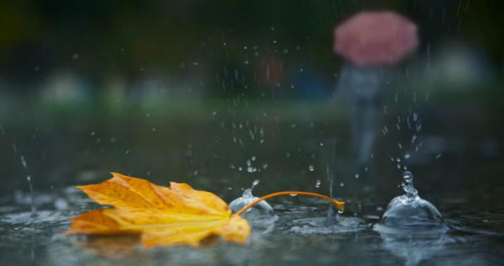 Sabah şimşək çaxacaq, yağış yağacaq