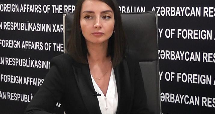 “Türkiyə Azərbaycana ən böyük siyasi dəstək göstərən dövlətdir” -