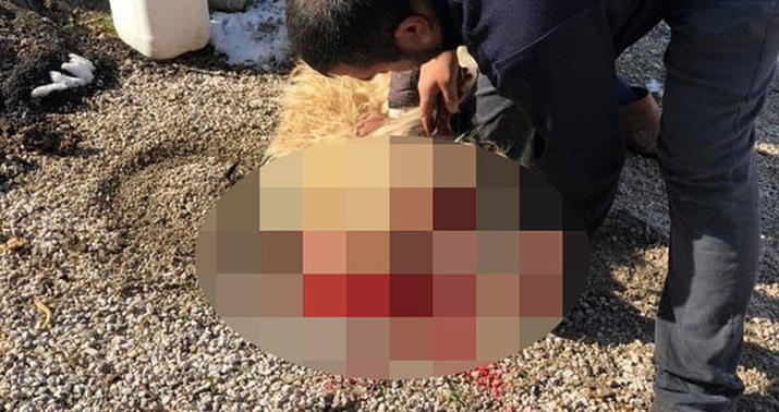 Anasına kəllə atan qoçun başını kəsdi -