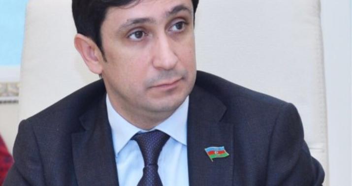 Avropa Parlamenti erməni lobissinin əlində oyuncaq olmamalıdır -