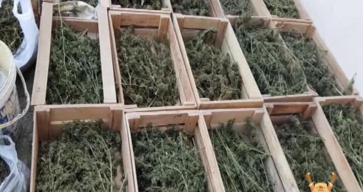 Samuxda keçmiş məhkum 9 kilo narkotiklə tutuldu