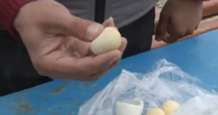 Yumurta, yoxsa plastik top? -