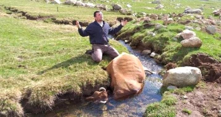 Məşhur müğənnidən inəyi ölən kəndliyə dəstək -