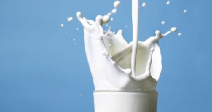 Gəncədə şirkətdən 2 tondan çox süd oğurlandı