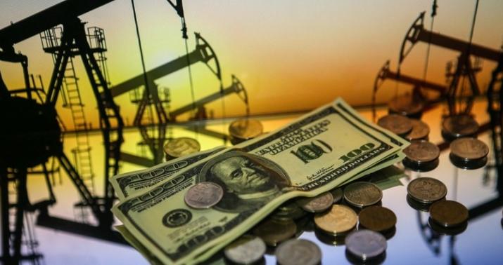 “Neftin yenidən ucuzlaşması istisna deyil” -