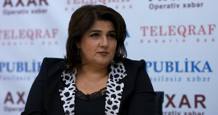 Tənqidçi: "Dövlət nəzarəti gücləndirilməlidir..." -