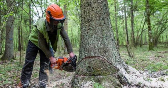 Qaxda bədbəxt hadisə: