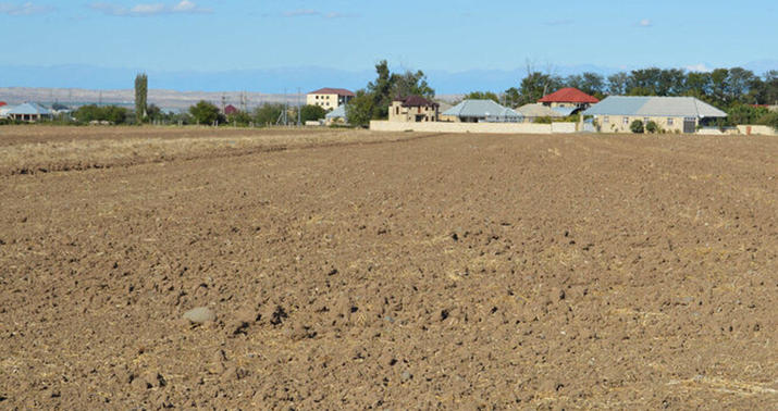 Kənd təsərrüfatı təyinatlı torpaqda tikinti ilə bağlı yeni qayda müəyyən edilir