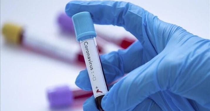 Gürcüstanda bu ərazilər “qırmızı zona” elan edilə bilər