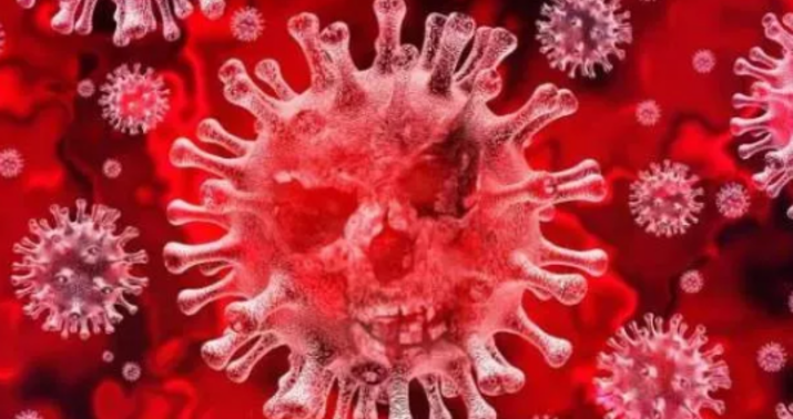 Koronavirus ağciyərlə yanaşı bu orqanı da zədələyir
