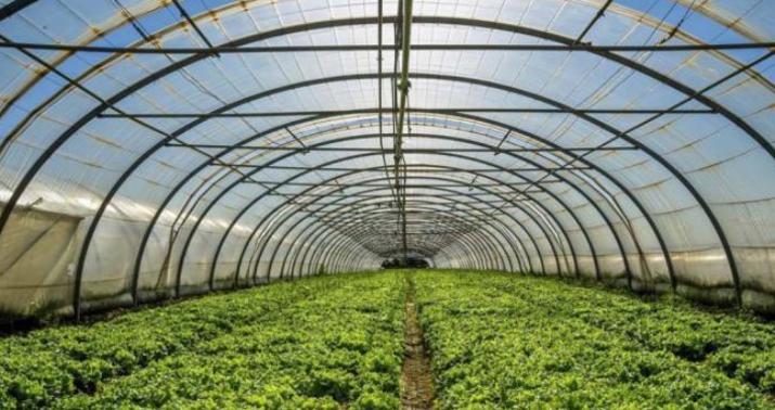 "Azəriqaz" istixana sahiblərinə növbəti dəfə güzəşt edəcək