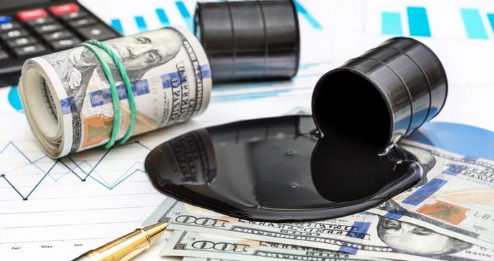 “Neft 30 dollardan da aşağı düşə bilər” -