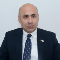 Deputat: Neokolonial siyasətlə ləkələnmiş bəzi ölkələrin buna mənəvi haqqı çatmır