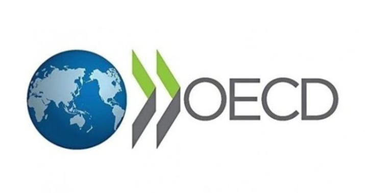 Ölkələrin borclanma ehtiyac 6 faiz artacaq –