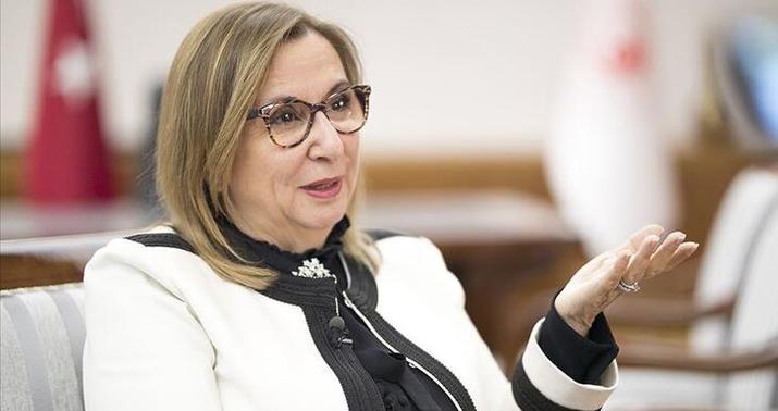 Rusiya pomidor ixracı kvotasını dəyişdi -