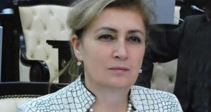 Ermənistanın 300 illik layihəsi iflasa uğrayır -