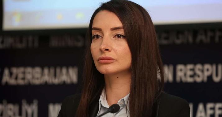 Azərbaycanın Fransadakı səfiri AzTV əməkdaşlarına hücumu qınadı