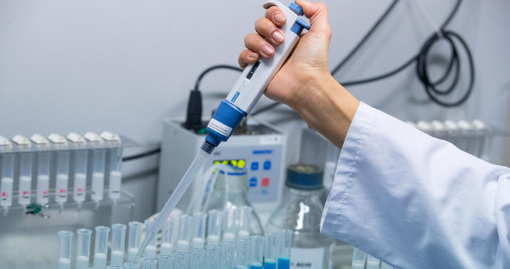 Dünya mütəxəssisləri: