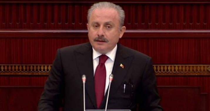 Mustafa Şentop Gürcüstana gəlir