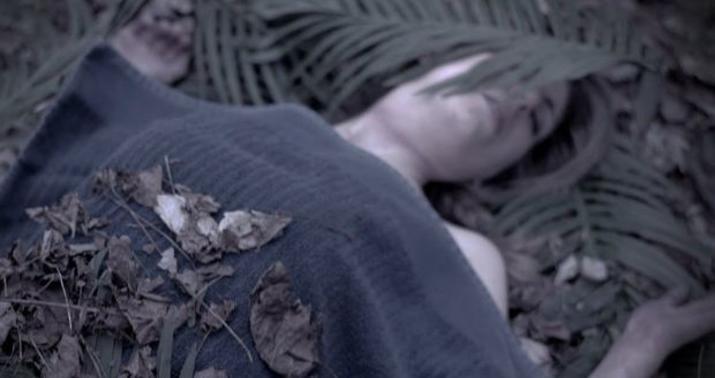 Şəki sakini baldızını qətlə yetirdi