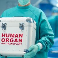 Transplantasiya üçün gözləmə siyahısında olan xəstələrin sayı açıqlandı