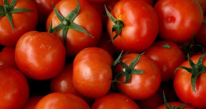 Türkmənistandan pomidor məhsulu idxalına məhdudiyyət qoyuldu