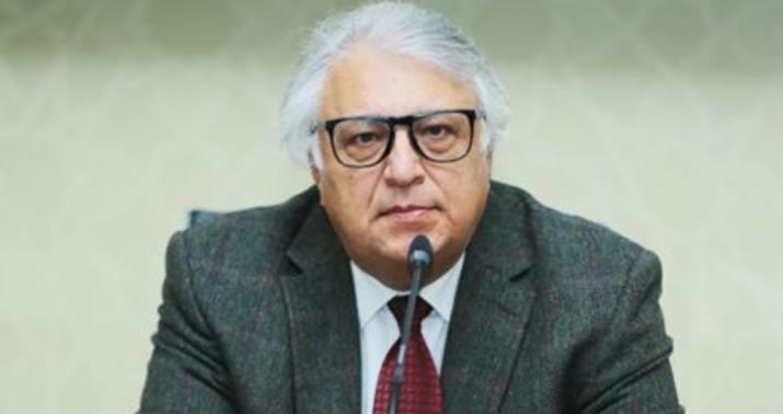 Fərhad Bədəlbəyli: "Ərdoğanın qələbə paradında iştirak etməsi..." -