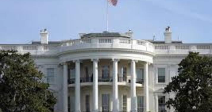 "Axsaq ördək" getmir: ABŞ tarixində ilk, poçtla səsvermənin nəticəsi... -