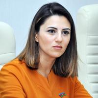 Sevinc Fətəliyeva: Bu, Azərbaycan və Rusiyanın xarici siyasət strategiyalarının yetkinliyindən xəbər verir