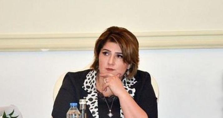 “Nəşriyyatlarla bağlı dövlət qurumu yoxdur, nazirliyin sektoru isə...” -