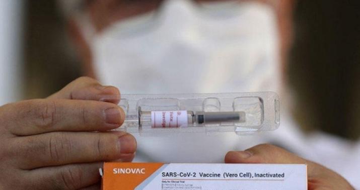 Avropada saxta vaksin böhranı –