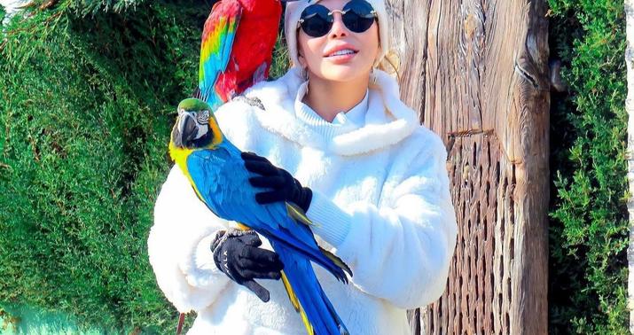 Aygün Kazımova Türkiyədə -