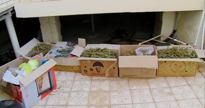 Gəncədə “Eliş” ləqəbli narkotacir həbs edildi –