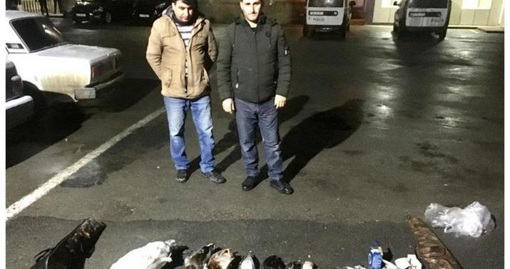 Şabranda qanunsuz ov edənlər saxlanıldı