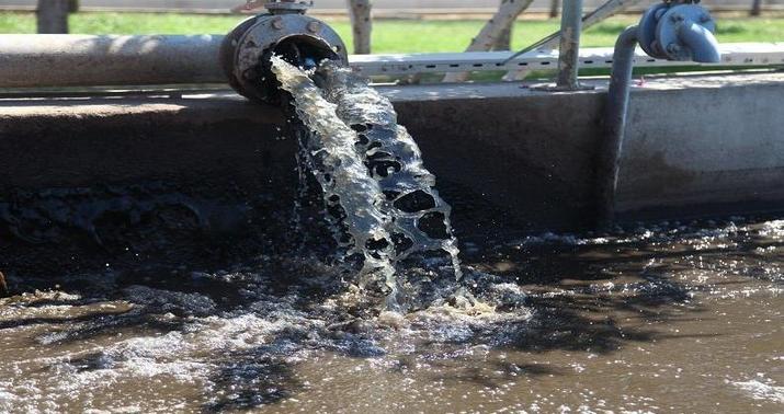 Dünyanı heyrətə salan tədqiqat:
