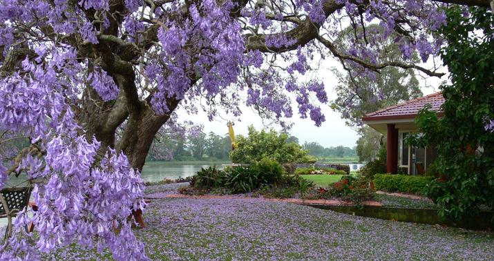 Martın ilk günü hava necə olacaq? -
