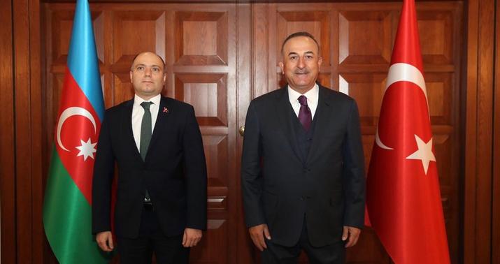Mövlud Çavuşoğlu Anar Kərimovla görüşdü