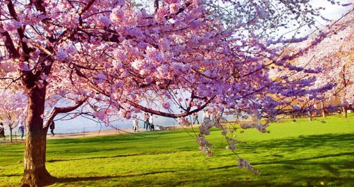 Sabahın hava proqnozu